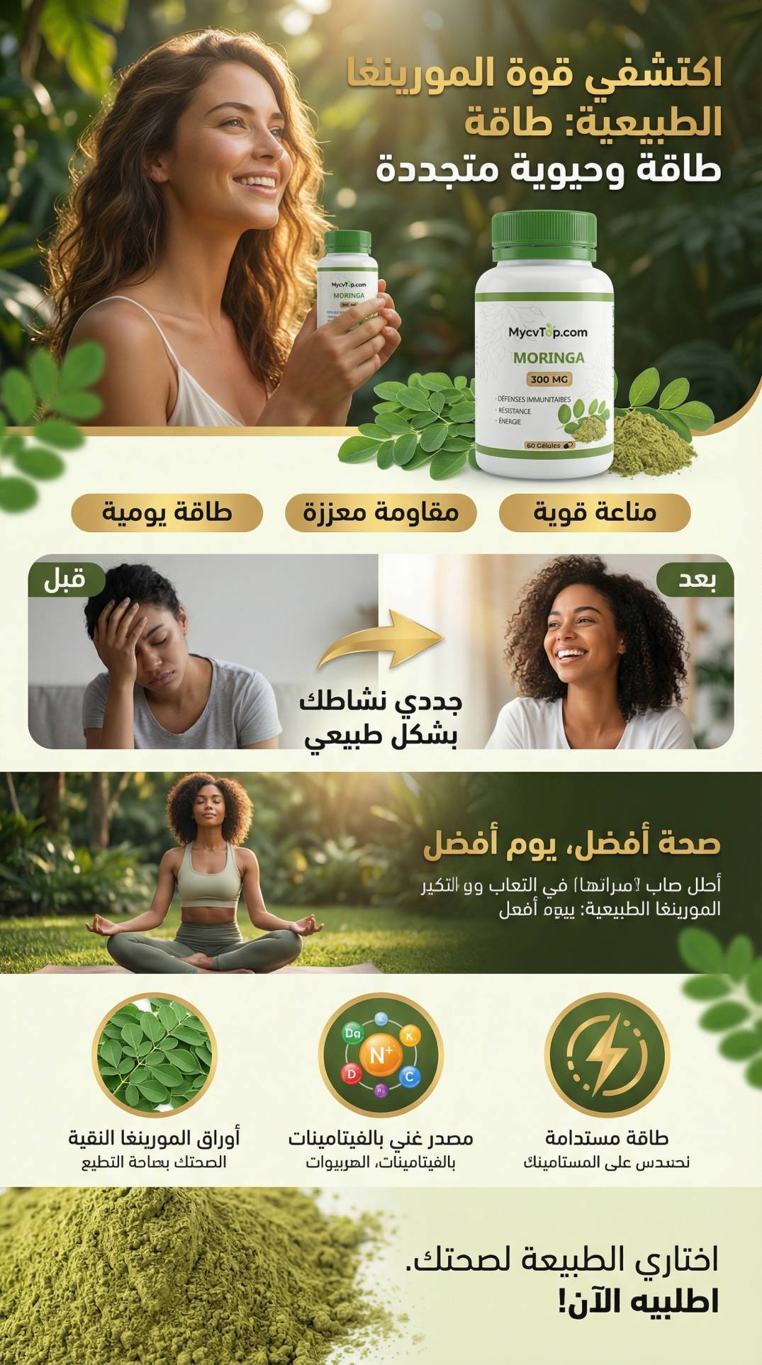 Moringa - مورينجا